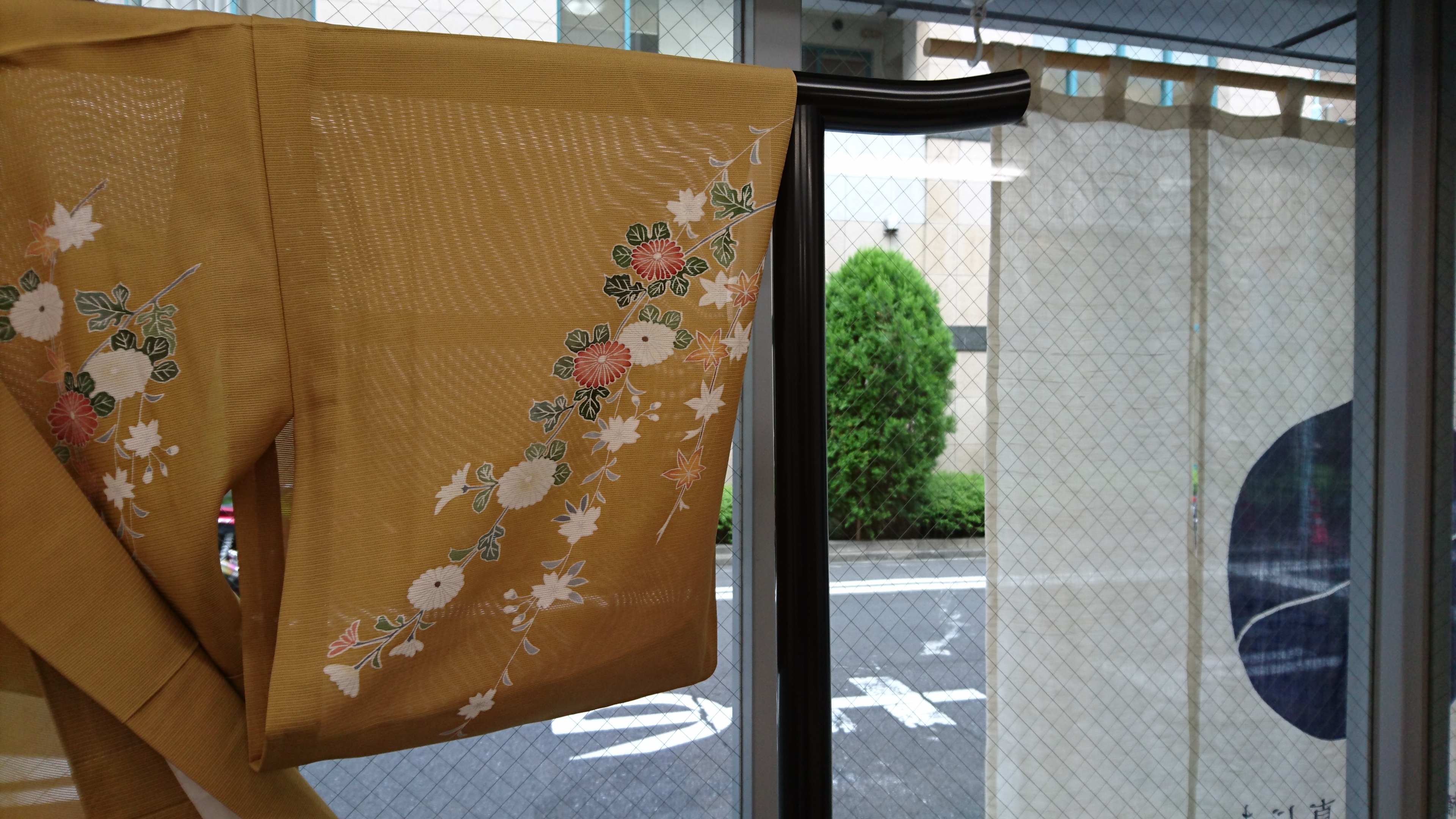 真じま好み
